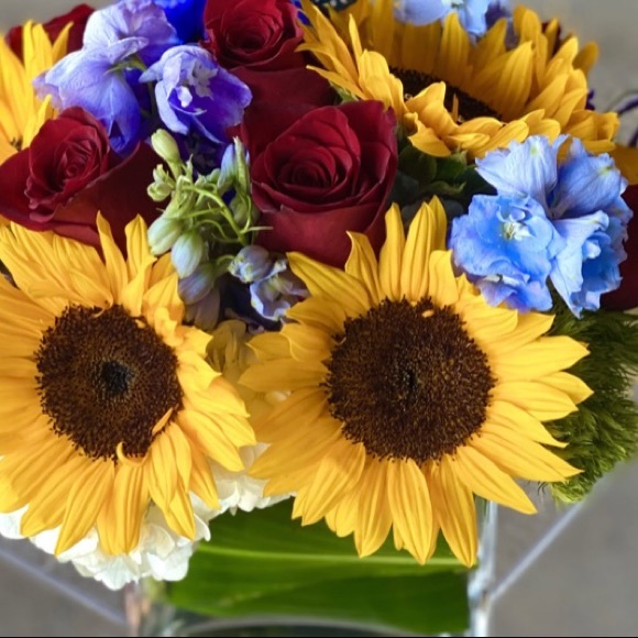 ✨Reasonable offers accepted✨ - Picture 1 of 1